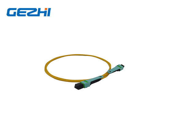 قم بتحديث شبكتك مع LC OM3/OM4 8/12/24f MPO/MTP Fiber Optic Patch Cord